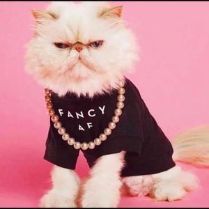 Meet your Posher, Blanca